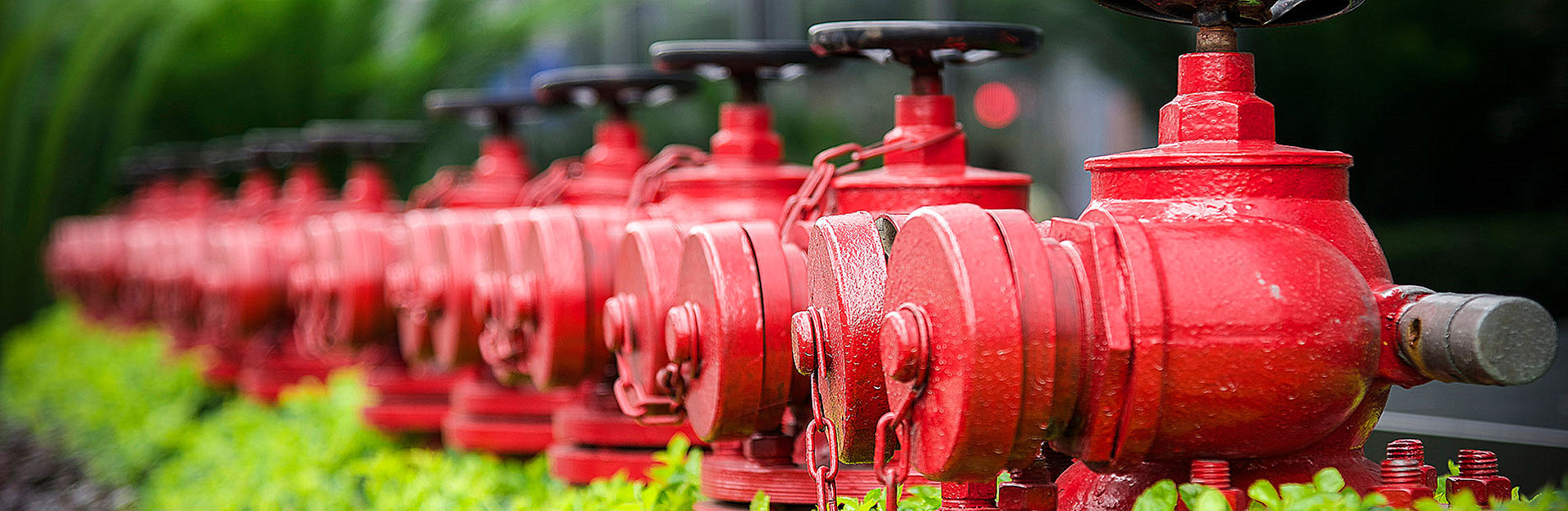 วาล์วดับเพลิง