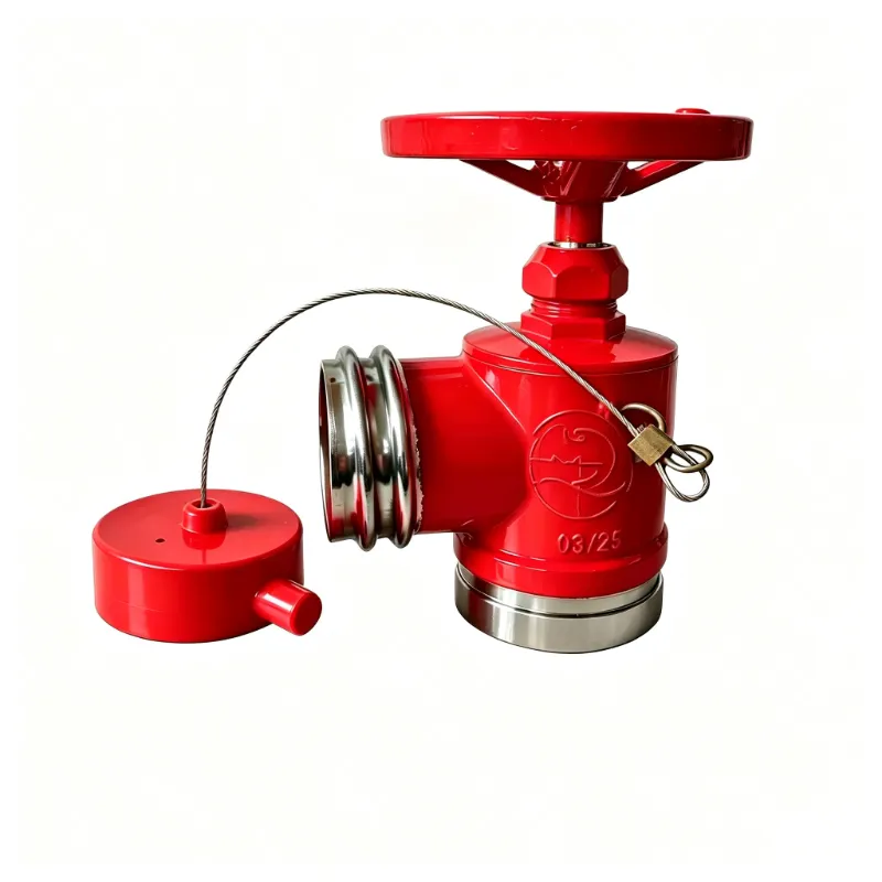 JOEPAI เปิดตัว QRT และ RG Connections สแตนเลสสตีล Fire Hydrant Landing Valve