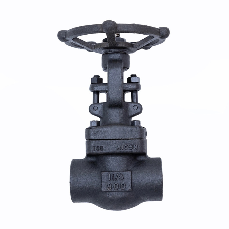 วาล์วประตูฟอร์จ 800LBS